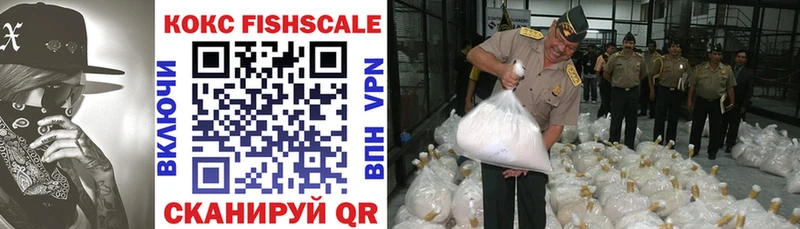Cocaine Fish Scale  Купить закладки  Ак-Довурак 
