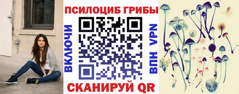 Купить  Ак-Довурак  Псилоцибиновые грибы Psilocybe 